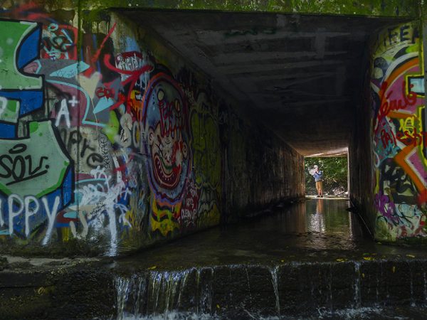 stream flows under a bridge painted with lots of graffiti