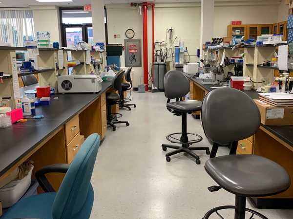 view of an empty scientific lab space