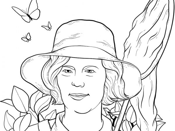 line drawing of a researcher with butterflies