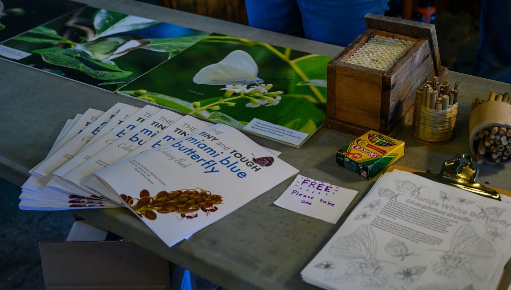 butterfly educational material used at Frosted Elfin event