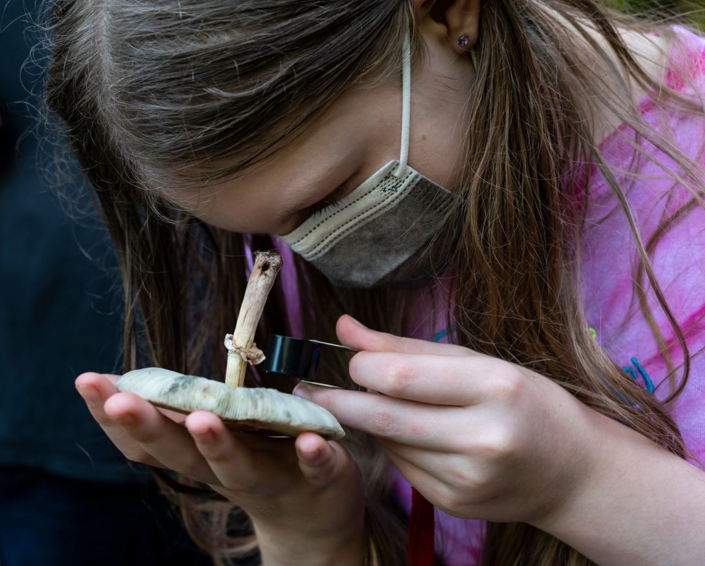 young girl looks at the underside of a mushroom with a small black magnifying glass