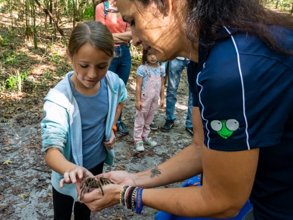 a young child reached out to touch a tarantula that a research is holding