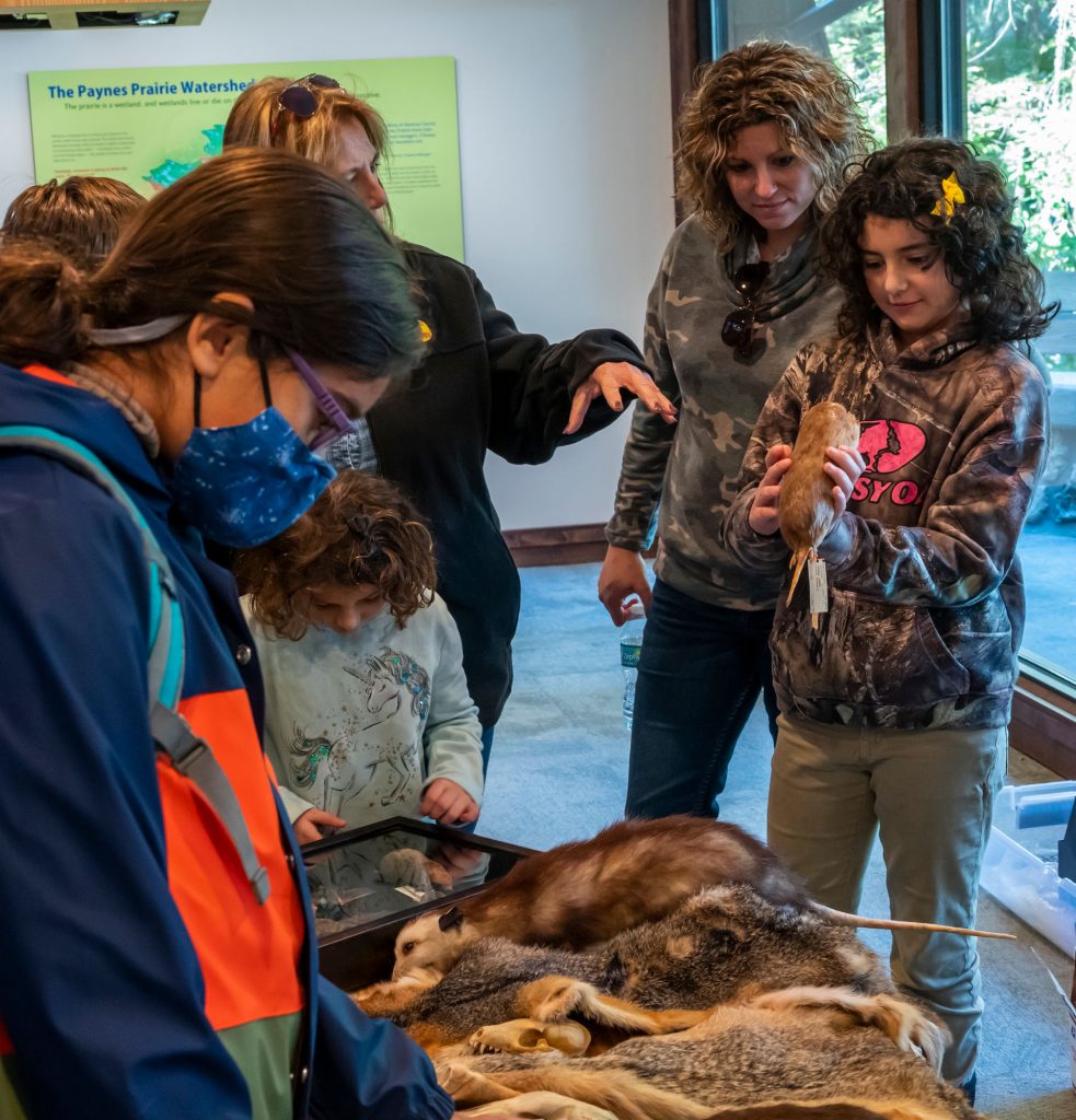 children look and touch animal skins during the museum in the parks event