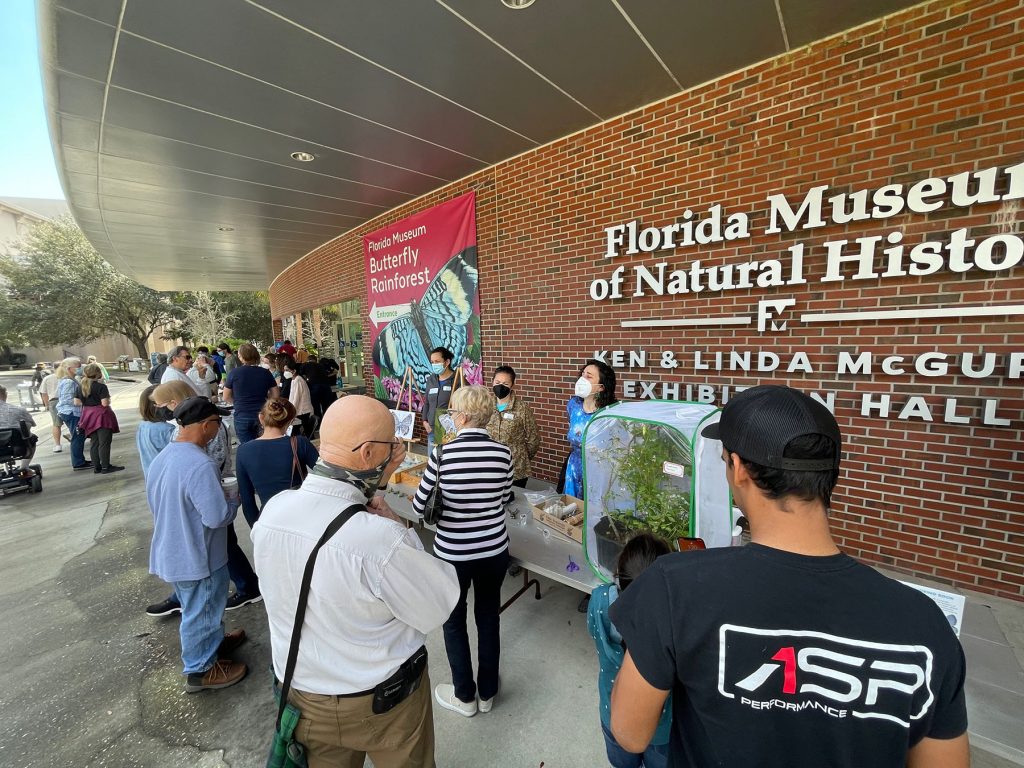 guests look at the display tables outside the Florida Museum