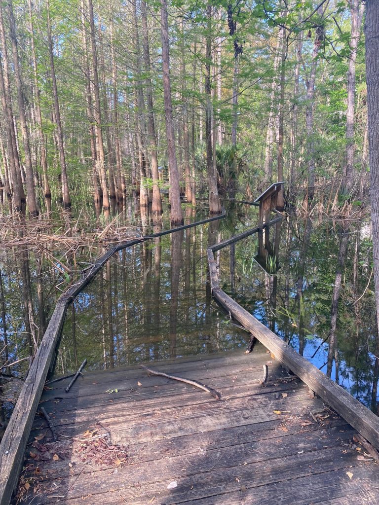 wooden pathway covered in water