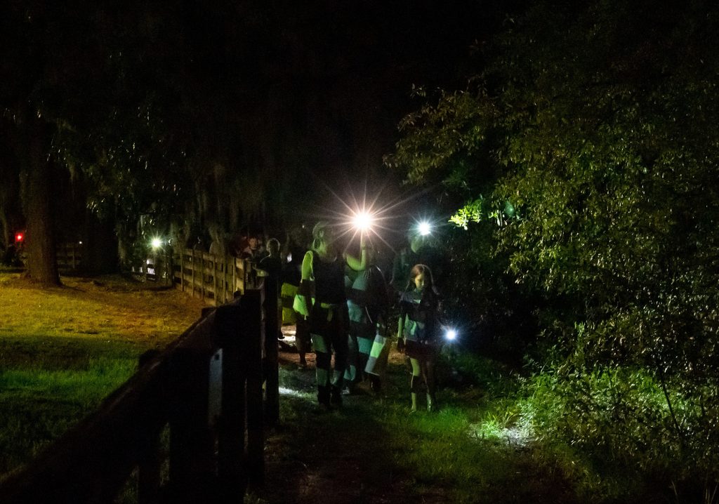 participants with flashlight walk through the grass along a fence line looking for frogs
