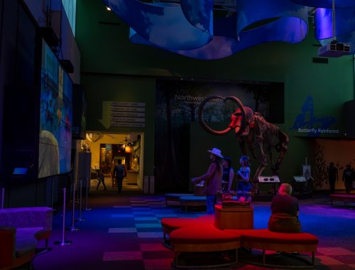 visitors in the museum gallery watching the live VR screens