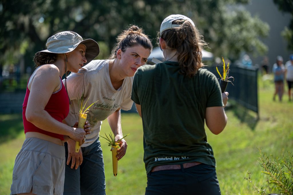 three volunteers reading the tag on one for the wildflower seedlings