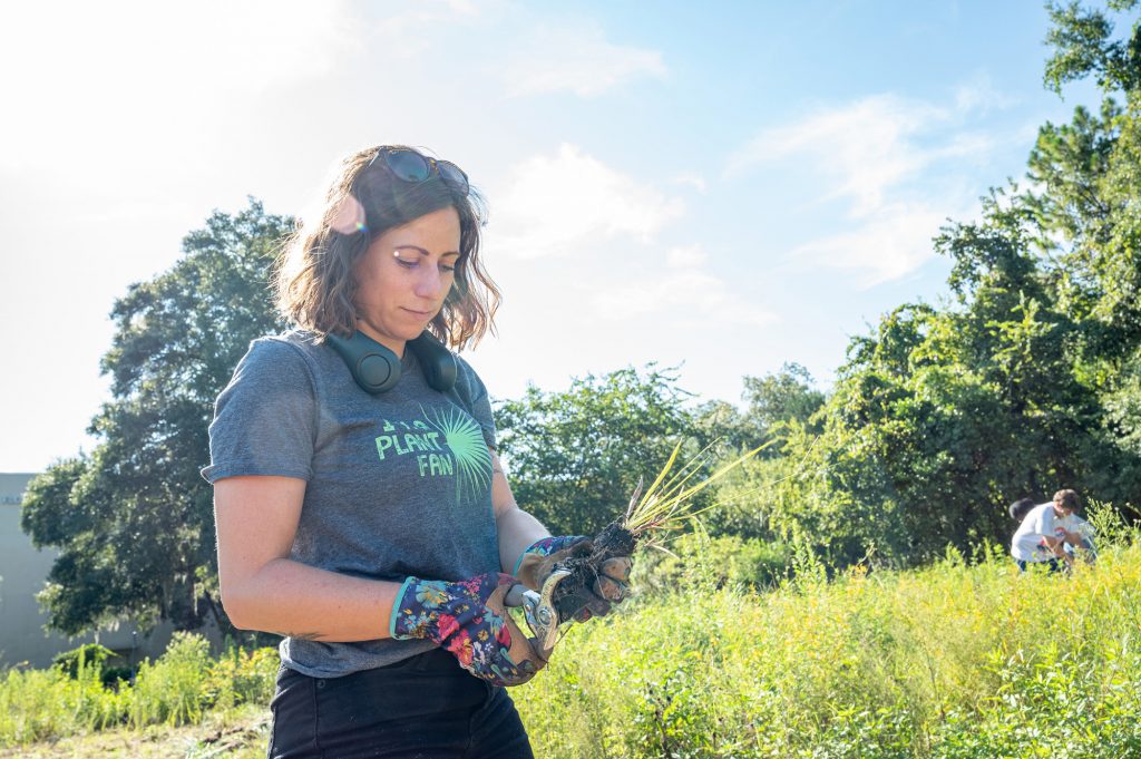 volunteer holds wildflower seedling in preparation from planting.