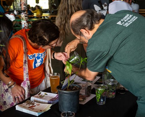 Jaret Daniels, in a green museum shirt, shows a visitor a plastic cup containing leaves and a butterfly specimen