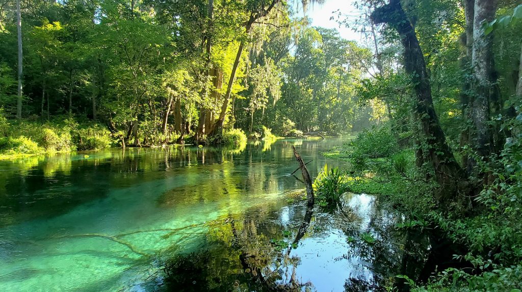 The sun shines on the clear water and vibrant green trees growing along the banks of the Ichetucknee Springs.