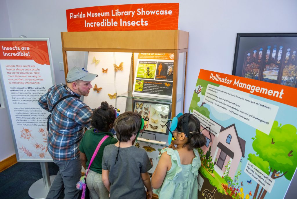 Museum Education outreach staff present shows three children items on display in the library