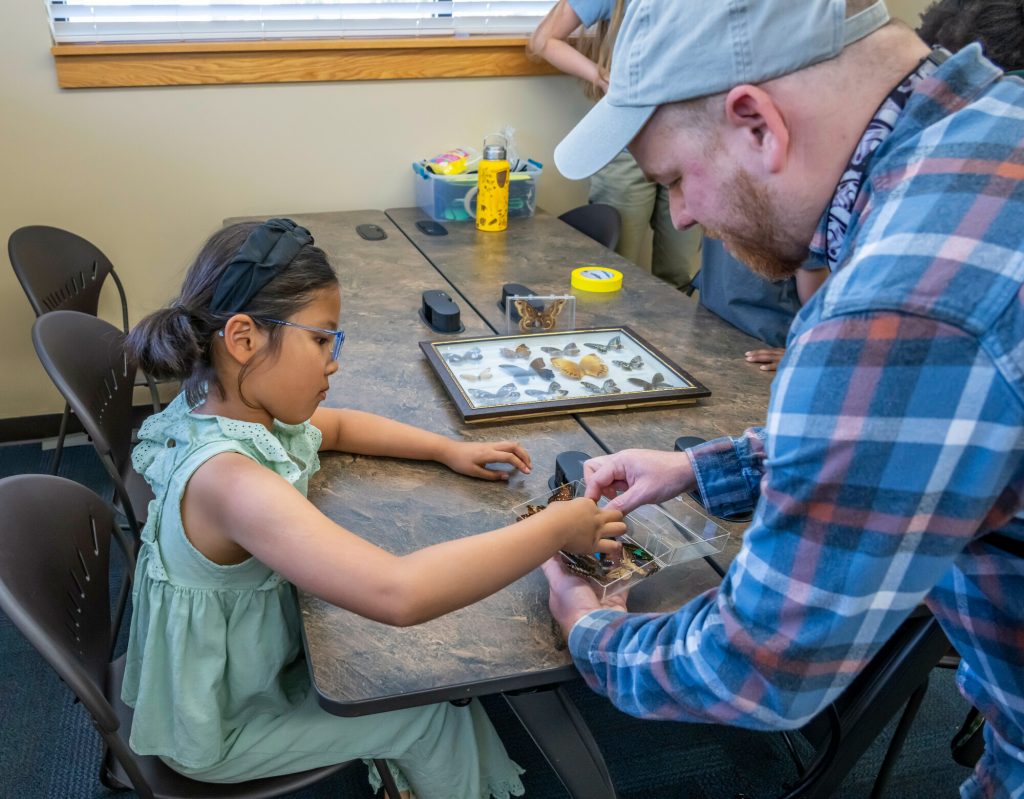 Museum Education outreach staff showing a young child a collection of butterfly wings