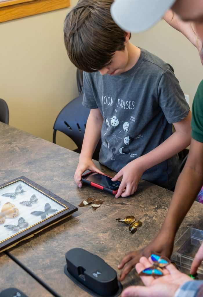 young visitor photographing a butterfly specimen with a cell photo