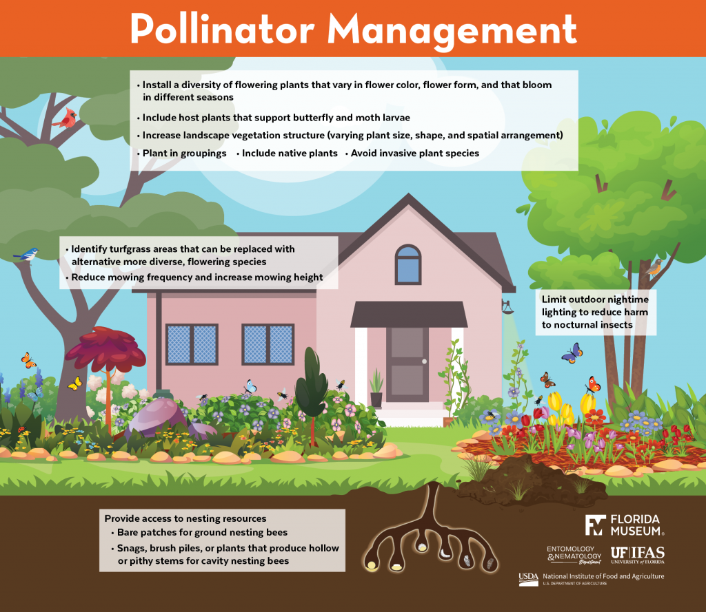 Graphic about Pollinator Management showing a house and surrounding gardens 
