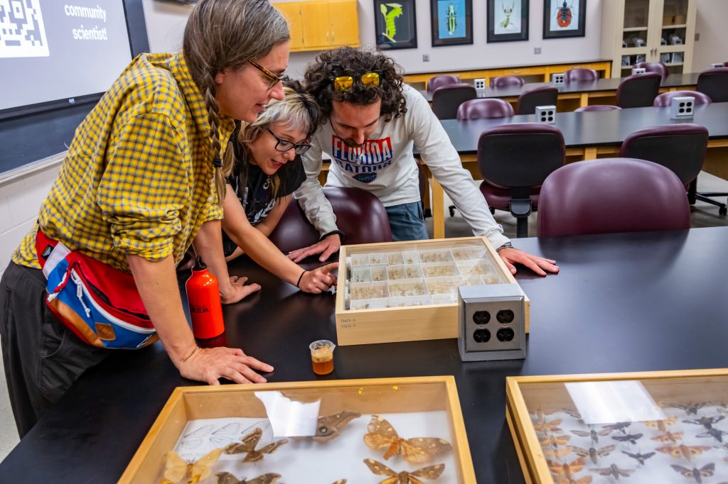 Participants in the nocturnal neighbors collecting event look at specimens in the classroom.