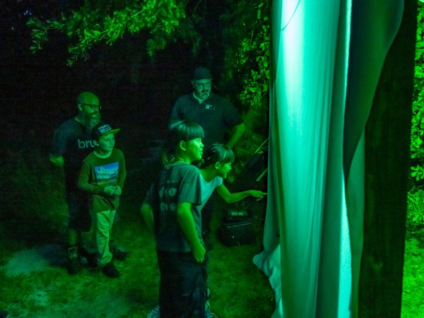 Participants adults and children look at insects on a white sheet set up for the nocturnal neighbors collecting event.