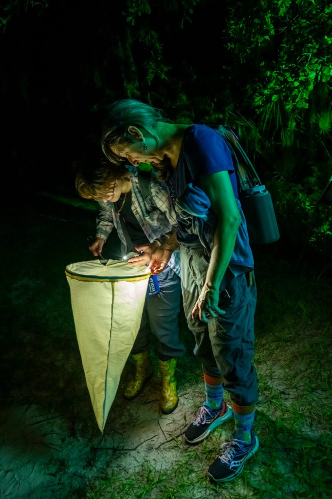 People using collectign nets and lights to collect insects. Night collecting fieldwork.