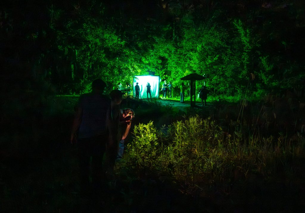 Participants adults and children look at insects on a white sheet set up for the nocturnal neighbors collecting event.
