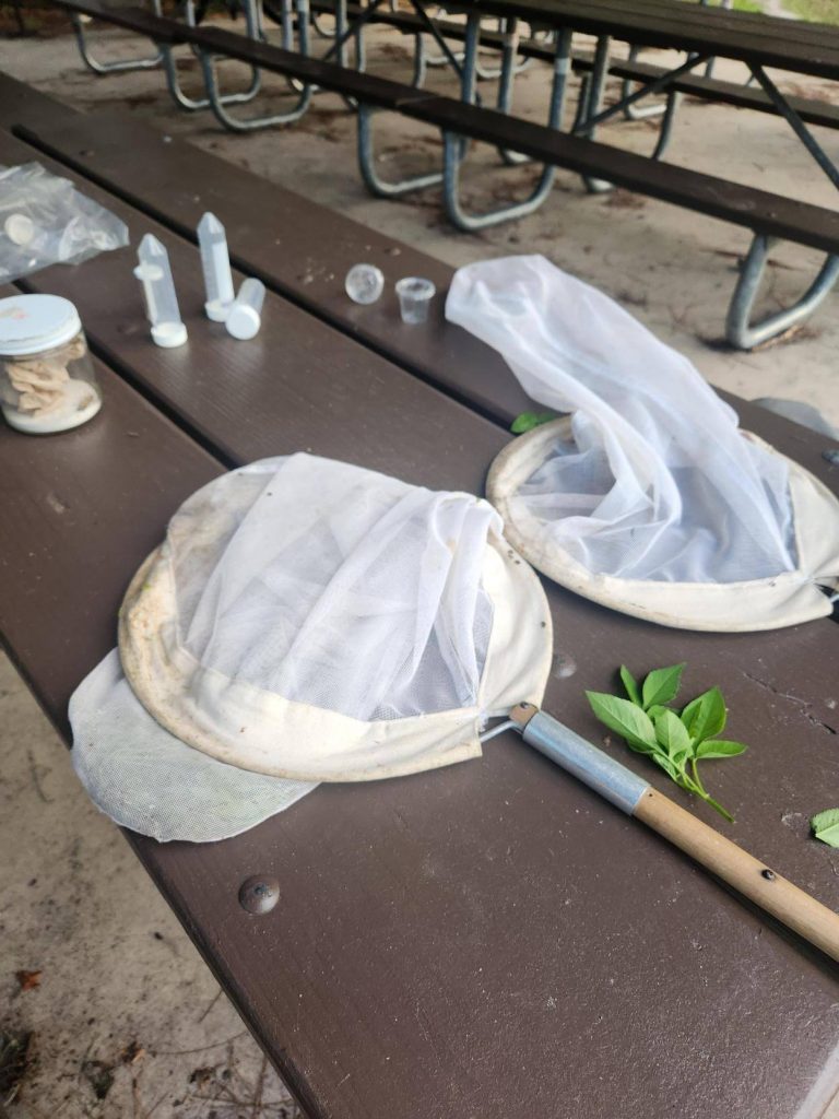 two butterfly collecting nets on a picnic table.
