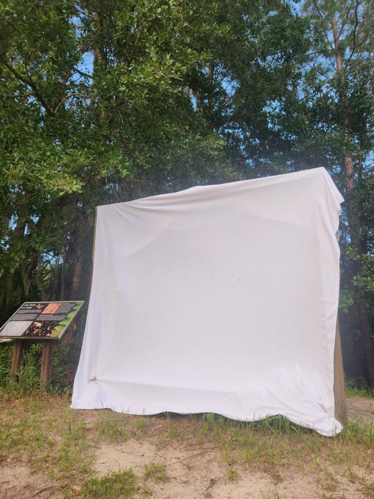 large white screen hung by a information display sign about moths
