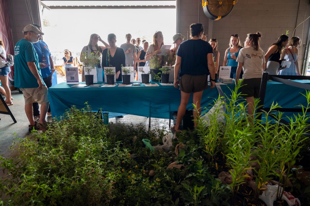 people waiting in line to receive a free plant from Daniels lab