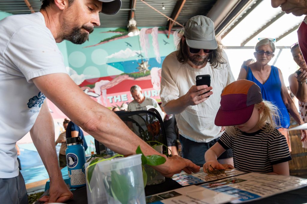 visitors look at insects on display during Pollinator Palooza