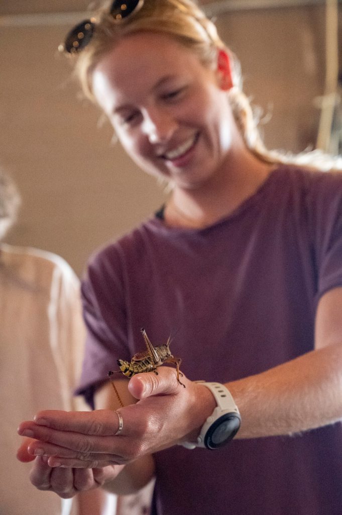 woman holding a large grasshopper