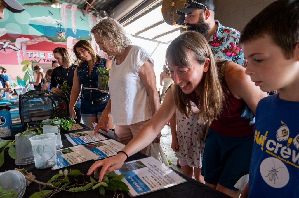visitors look at insects on display during Pollinator Palooza