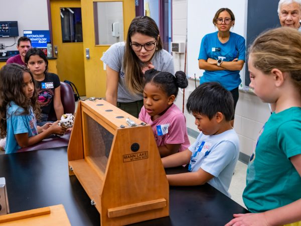 Kaitlin Deutsch and kids look at bees in an observation bee hive on display for the Family Discovery Camp Bees.