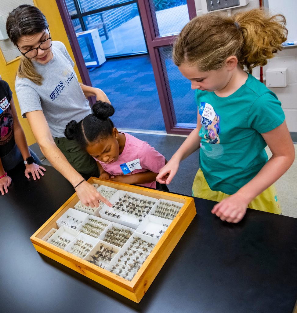 Kaitlin Deutsch and children look at bee specimens pinned in a specimen drawer.