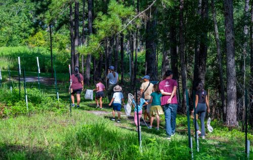 Participants in the Family Discovery Camps collecting insects with nets