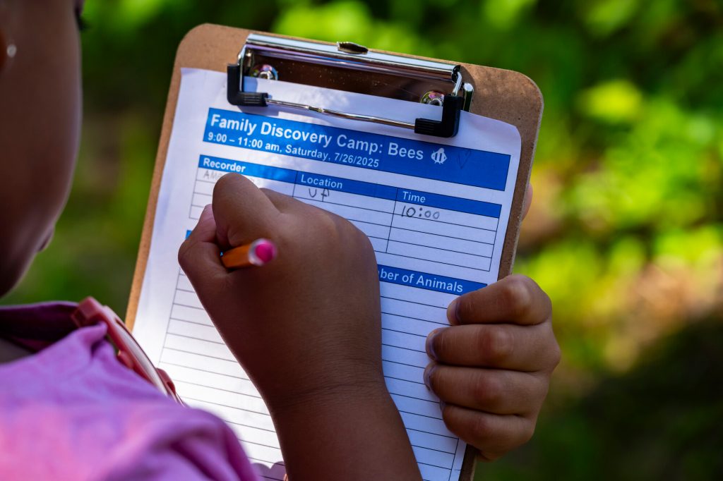 A child filling out the Insect collecting worksheet on a clipboard during the Family Discovery Camps Bees.