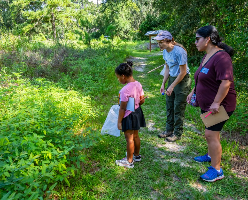 Participants in the Family Discovery Camps collecting insects with nets