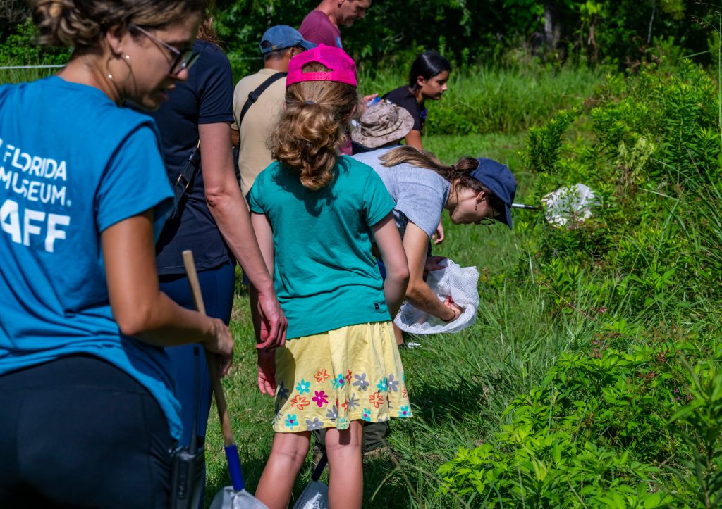 Participants in the Family Discovery Camps with collecting nets capturing insects