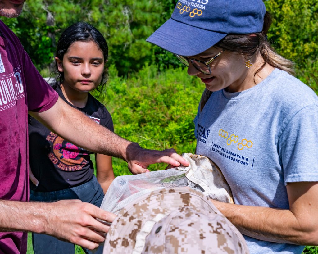 Two people looking through a collection net to capture a be in a collection tube