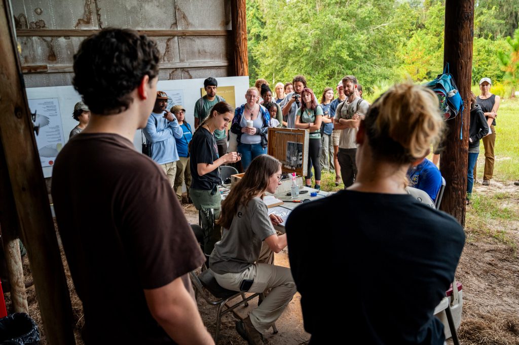 UF Bird Observatory fieldwork demonstrations of bird capturing, data collection and bird banding at the Prairie Creek Conservation Cemetery