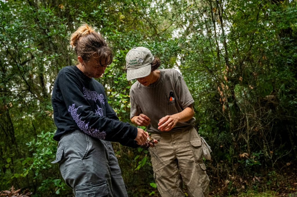 two people working to free a bird captured in a net