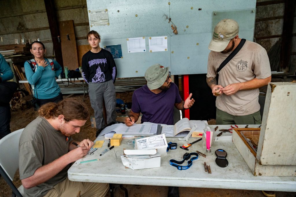researchers work at a table to band captured birds