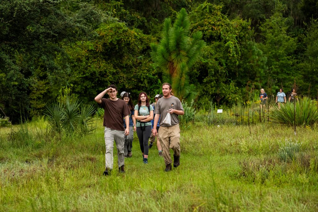 Event participants and researchers walk through a field