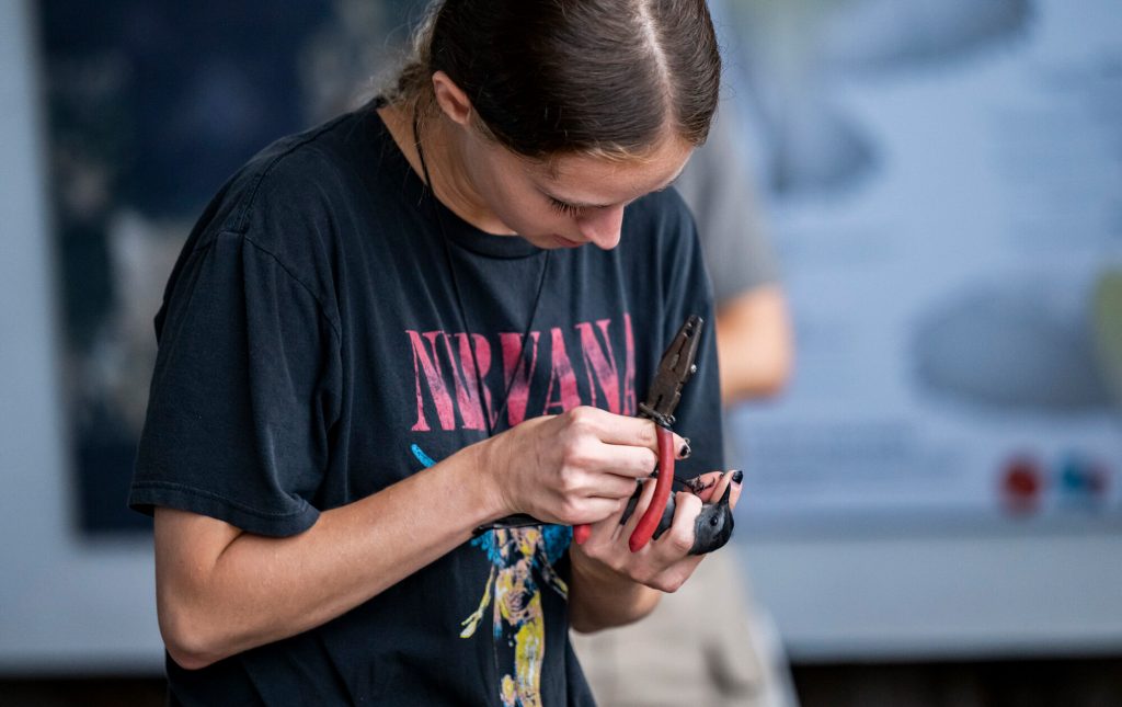 Researcher banding a bird