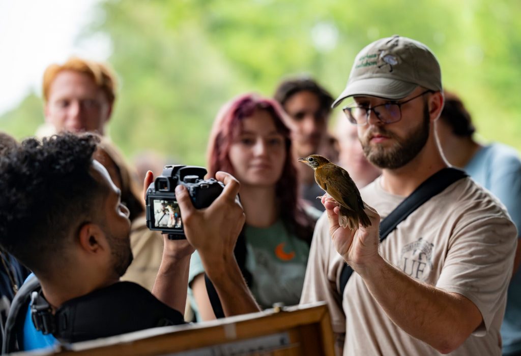researcher holding a captured bird