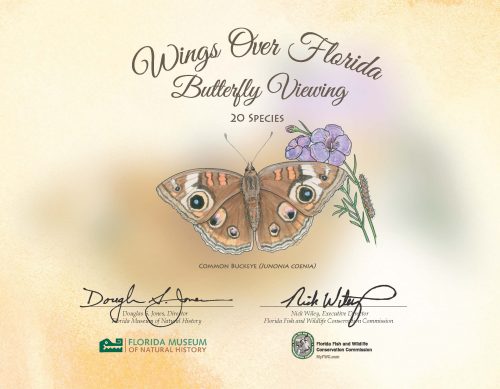 Wings Over Florida sample certificate