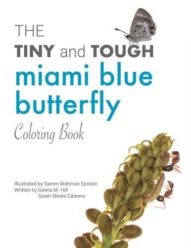 Miami Blue coloring book cover