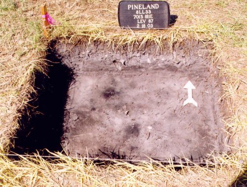 photo of excavation pit with an arrow pointing at posthole base at