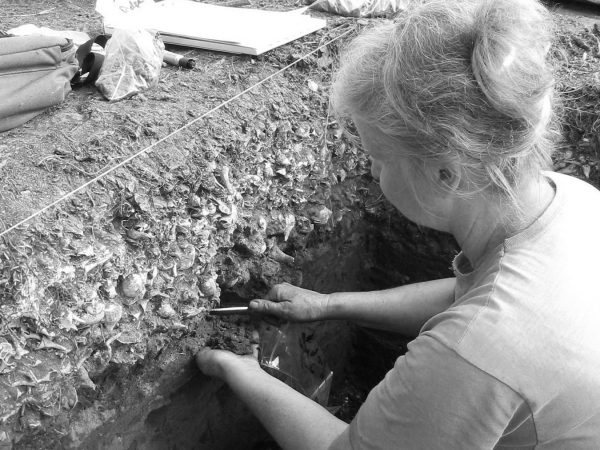 scientist taking samples from the side of an excavation pit