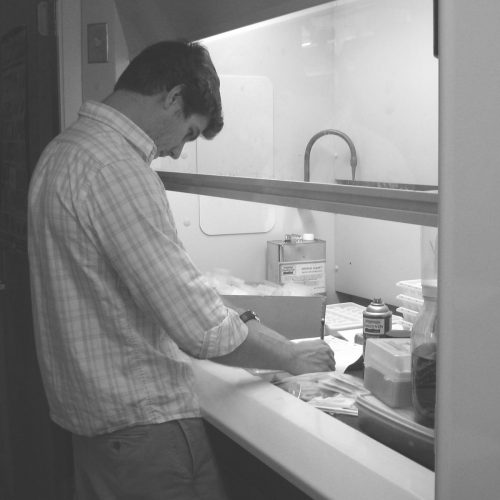 person preparing samples