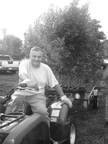 man sits on a tractor that is pulling a trailer filled with large potted trees