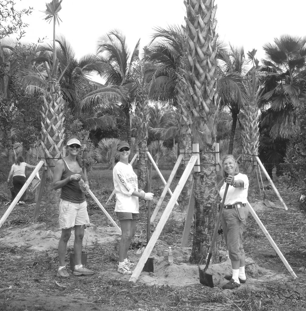 three volunteers stand around newly planted trees