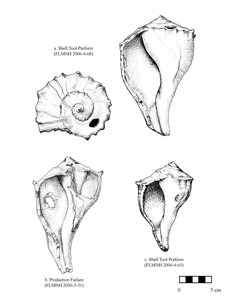 line drawing of shell tools